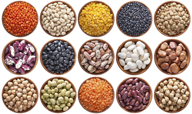 Pulses (Dal)